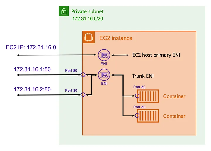 Vpc trunking